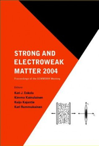 Könyv Strong And Electroweak Matter 2004 - Proceedings Of The Sewm2004 Meeting Kainulainen Kimmo