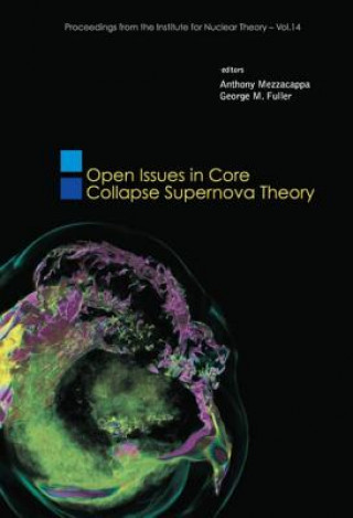 Kniha Open Issues In Core Collapse Supernova Theory 