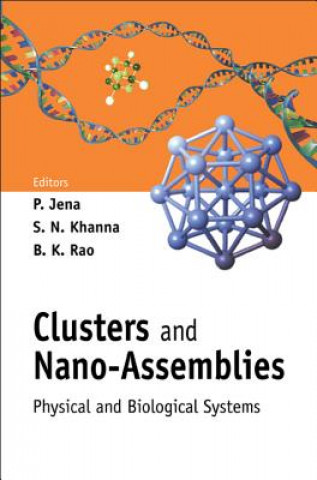 Könyv Clusters And Nano-assemblies: Physical And Biological Systems Jena Purusottam
