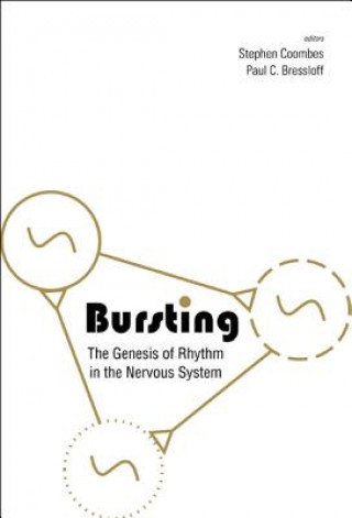 Könyv Bursting: The Genesis Of Rhythm In The Nervous System 