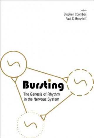 Kniha Bursting: The Genesis Of Rhythm In The Nervous System 