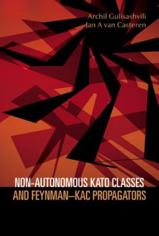 Könyv Non-autonomous Kato Classes And Feynman-kac Propagators Archil Gulisashvili