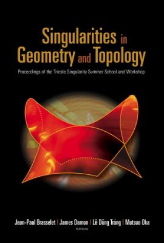 Książka Singularities In Geometry And Topology - Proceedings Of The Trieste Singularity Summer School And Workshop Brasselet Jean-paul