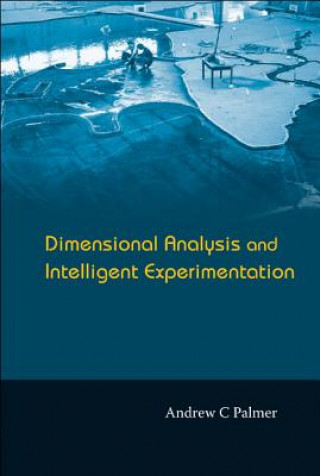 Knjiga Dimensional Analysis And Intelligent Experimentation Andrew C. Palmer