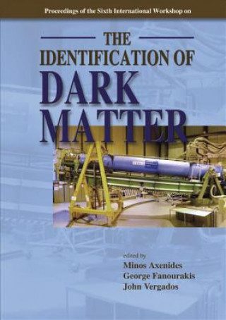 Könyv Identification Of Dark Matter, The - Proceedings Of The Sixth International Workshop Minos Axenides