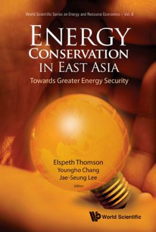 Kniha Energy Conservation In East Asia: Towards Greater Energy Security Youngho Chang