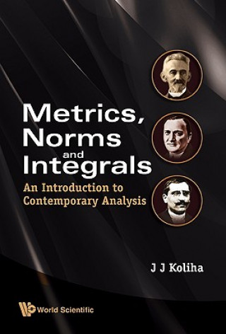 Book Metrics, Norms And Integrals: An Introduction To Contemporary Analysis Jerry J. Koliha