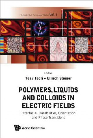 Kniha Polymers, Liquids And Colloids In Electric Fields: Interfacial Instabilites, Orientation And Phase Transitions Ullrich Steiner