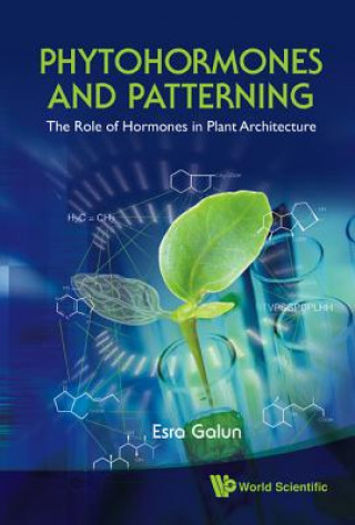 Kniha Phytohormones And Patterning: The Role Of Hormones In Plant Architecture Esra Galun