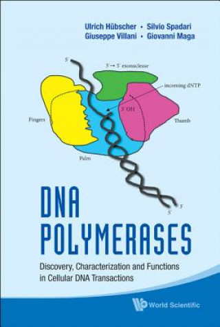 Книга Dna Polymerases: Discovery, Characterization And Functions In Cellular Dna Transactions Ulrich Hubscher