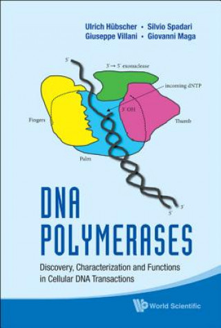 Kniha Dna Polymerases: Discovery, Characterization And Functions In Cellular Dna Transactions Ulrich Hubscher