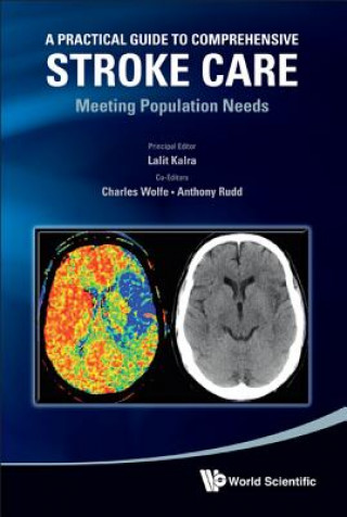 Książka Practical Guide To Comprehensive Stroke Care, A: Meeting Population Needs Lalit Kalra