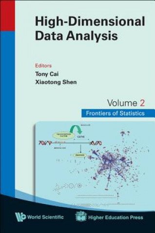 Knjiga High-dimensional Data Analysis 