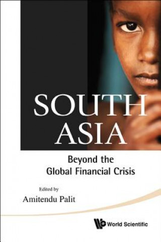 Carte South Asia: Beyond The Global Financial Crisis Amitendu Palit