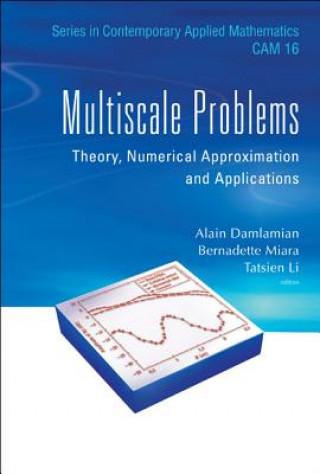 Kniha Multiscale Problems: Theory, Numerical Approximation And Applications Alain Damlamian