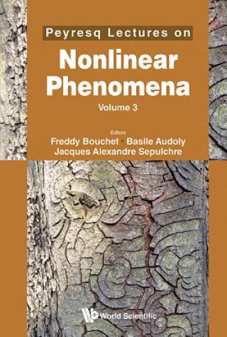 Kniha Peyresq Lectures On Nonlinear Phenomena (Volume 3) Basile Audoly