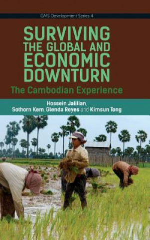 Libro Surviving the Global Financial and Economic Downturn Tong Kimsun