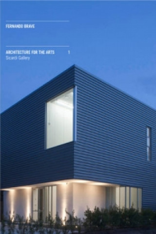 Kniha Architecture for the Arts Stephen Fox