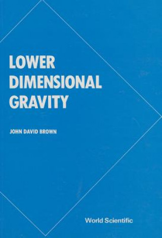 Buch Lower Dimensional Gravity John David Brown