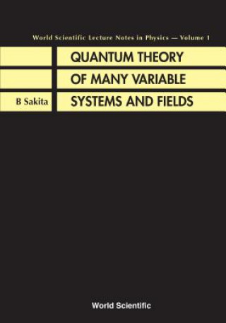 Carte Quantum Theory Of Many Variable Systems And Fields Bunji Sakita
