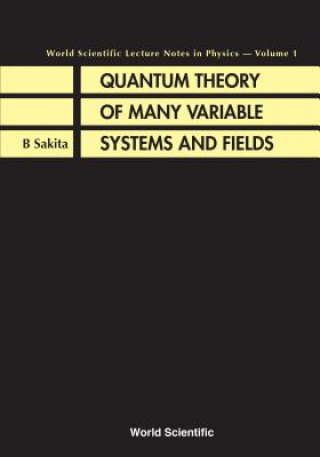 Kniha Quantum Theory Of Many Variable Systems And Fields Bunji Sakita