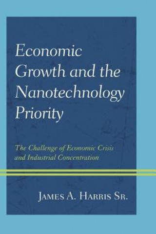 Kniha Economic Growth and the Nanotechnology Priority James A.