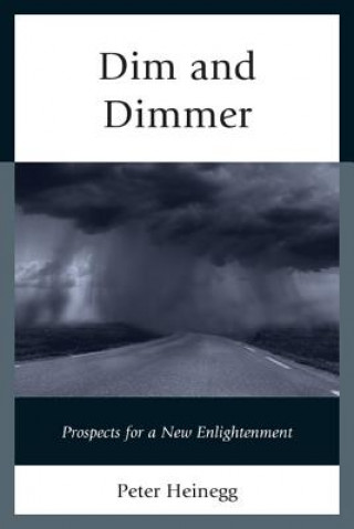 Book Dim and Dimmer Peter Heinegg