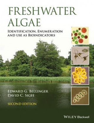 Kniha Freshwater Algae - Identification, Enumeration and  Use as Bioindicators David C. Sigee