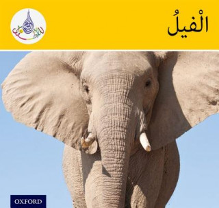 Könyv Arabic Club Readers: Yellow Band: Elephants Rabab Hamiduddin