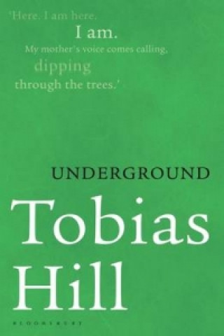 Kniha Underground Tobias Hill