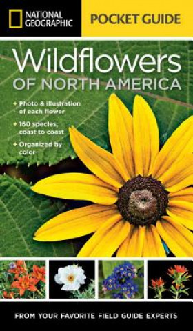 Carte National Geographic Pocket Guide to Wildflowers of North America National Geographic