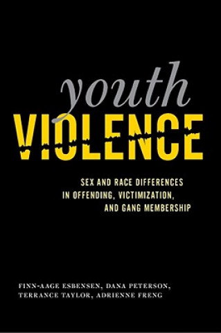 Könyv Youth Violence Finn-Aage Esbensen