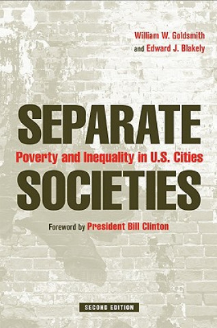 Kniha Separate Societies William W. Goldsmith