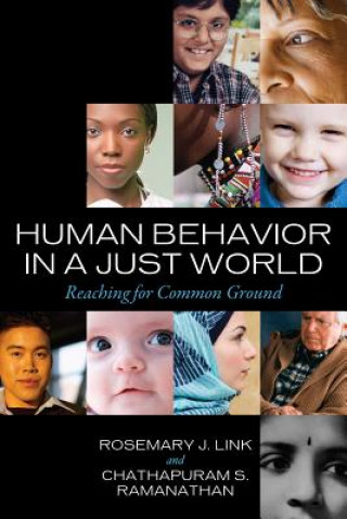 Kniha Human Behavior in a Just World Rosemary J. Link