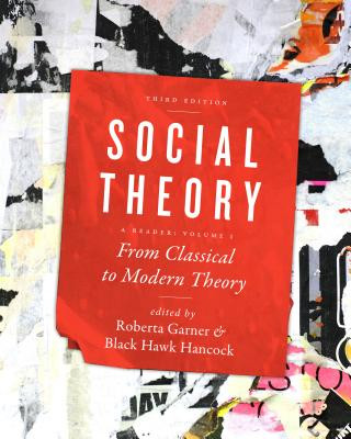 Boek Social Theory Black Hawk Hancock