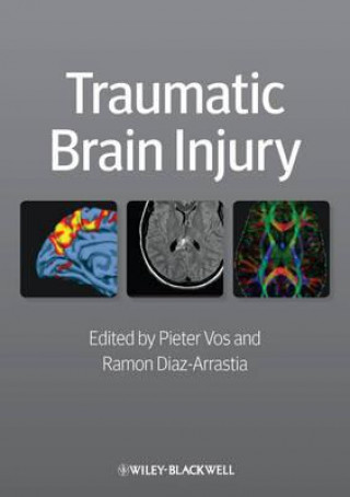 Könyv Traumatic Brain Injury Pieter Vos