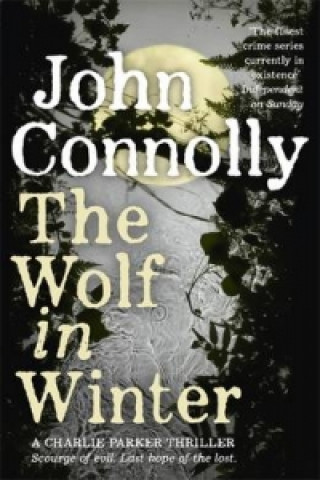 Kniha Wolf in Winter John Connolly