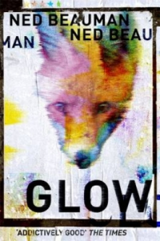 Kniha Glow Ned Beauman