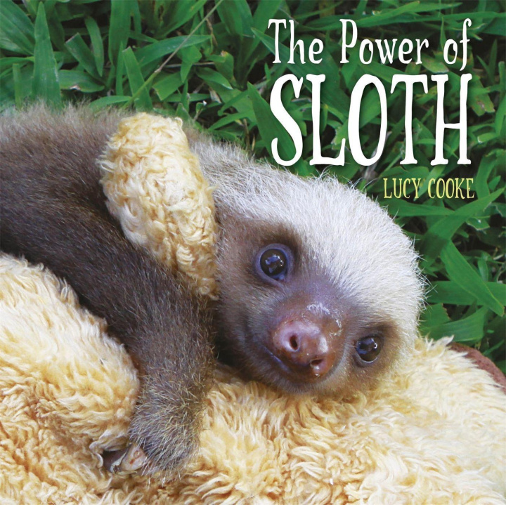 Kniha Power of Sloth Lucy Cooke