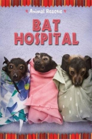 Kniha Animal Rescue: Bat Hospital Franklin Watts