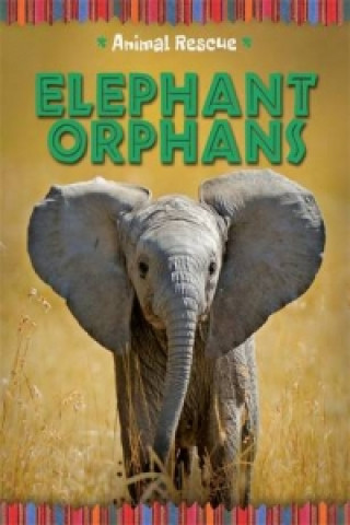 Kniha Animal Rescue: Elephant Orphans Clare Hibbert