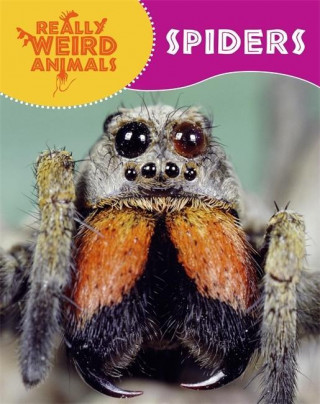 Könyv Really Weird Animals: Spiders Clare Hibbert