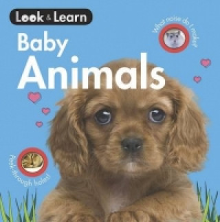 Könyv Baby Animals Board Book 