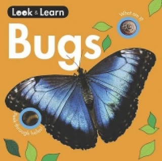 Carte Bugs Board Book 