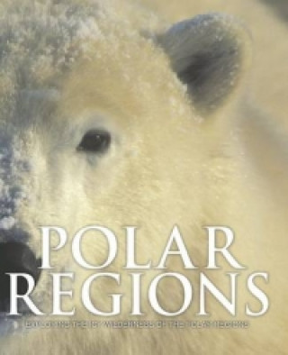 Kniha Spirit of Polar Regions 