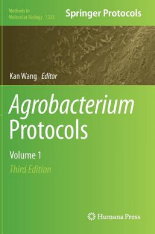 Kniha Agrobacterium Protocols Kan Wang