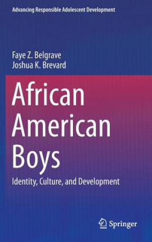 Kniha African American Boys Faye Z. Belgrave