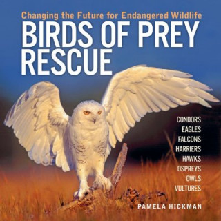 Kniha Birds of Prey Rescue Pamela Hickman