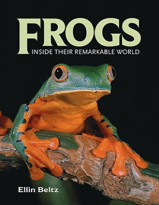 Książka Frogs: Inside Their Remarkable World Ellin Beltz