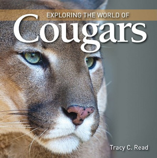 Książka Exploring the World of Cougars Tracy C. Read